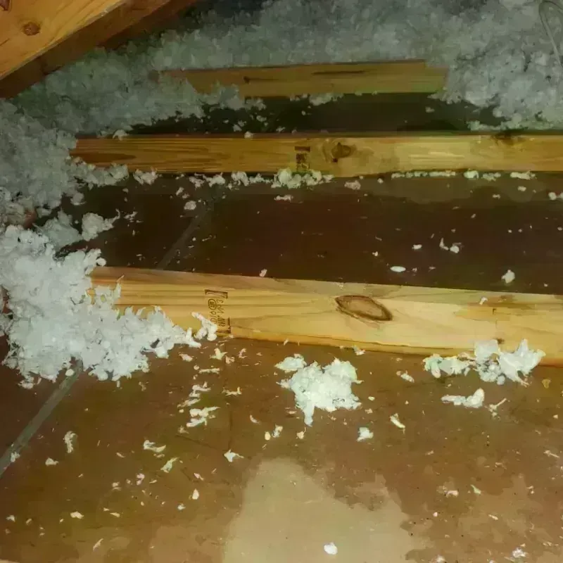 Attic Water Damage in Suffield Depot, CT